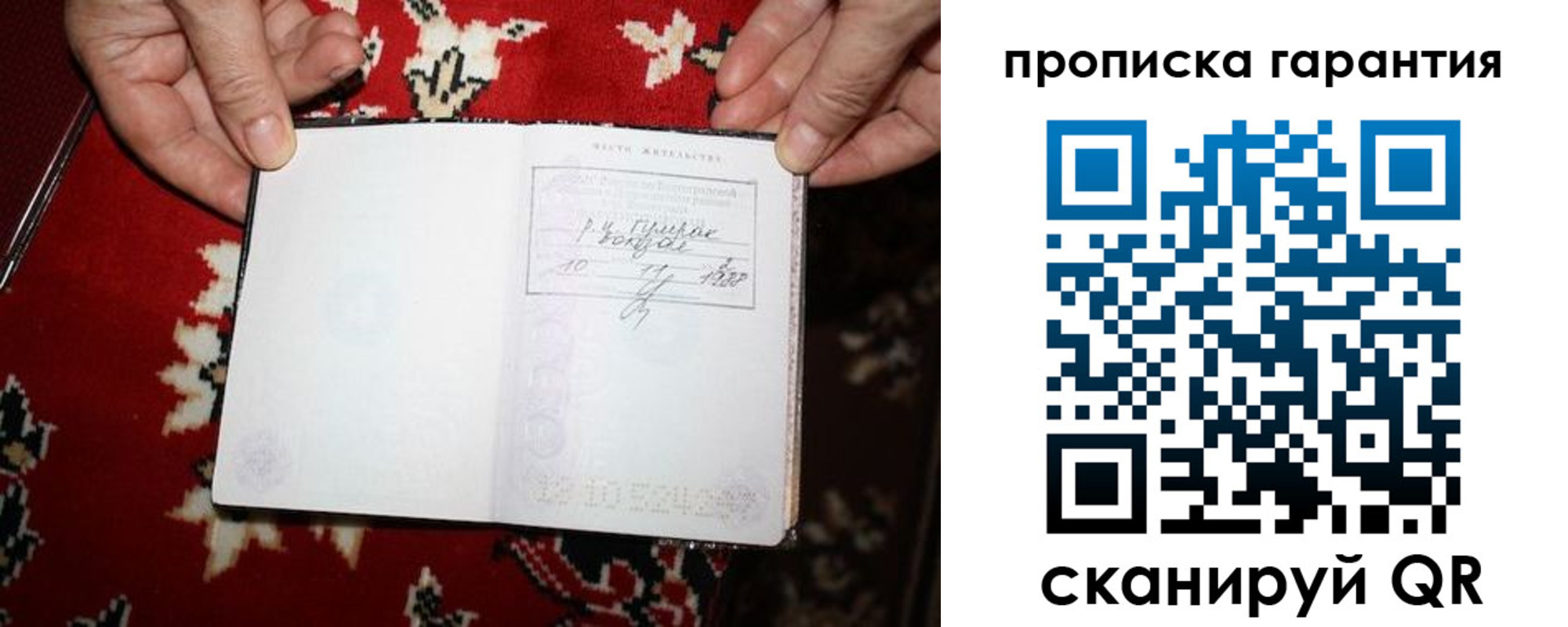 прописка гарантия в Борзе